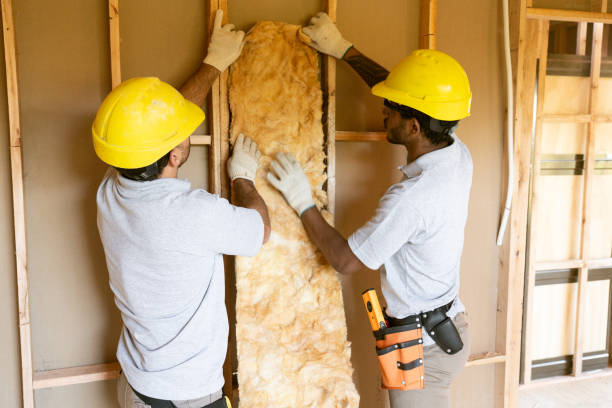Best Residential Insulation Services  in Valley Falls, SC
