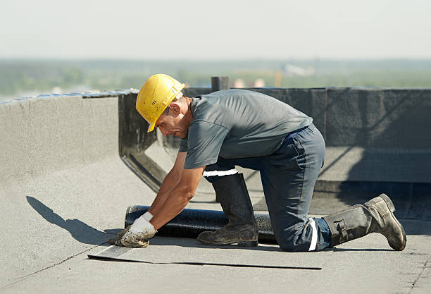 Best Insulation Contractors for Homes  in Valley Falls, SC