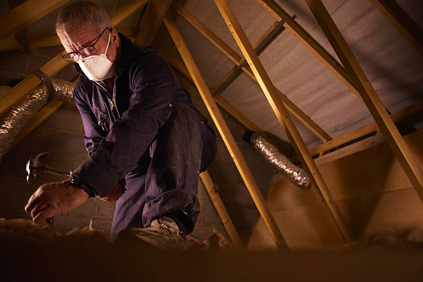 Best Fiberglass Insulation  in Valley Falls, SC