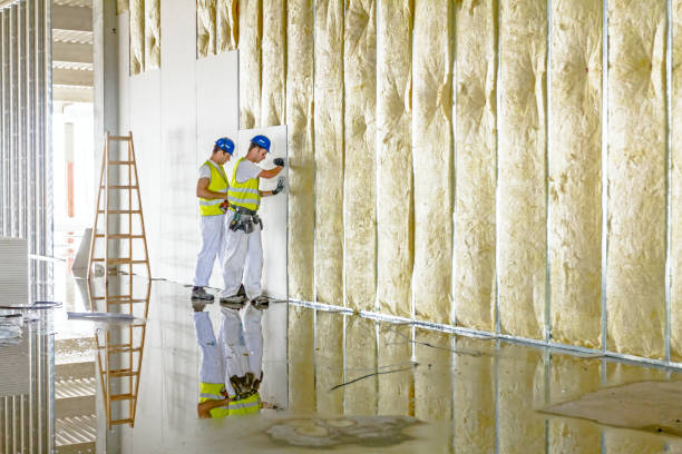 Best Insulation for New Construction  in Valley Falls, SC